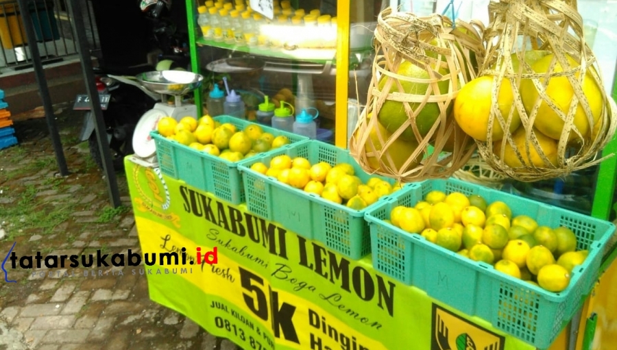 Sukabumi Boga Lemon, Perjuangkan Lemon Lokal Jadi Icon Daerah