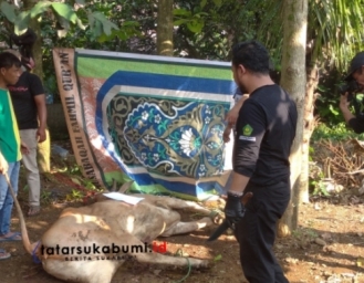 Kementrian Agama Kabupaten Sukabumi Distribusikan 3 Sapi dan 21 Domba Kurban