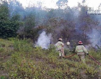 222 Kasus Kebakaran Lahan di Sukabumi Berdampak Polusi Udara dan Kerusakan Ekosistem 