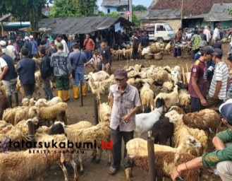 Transaksi Hewan Ternak di Sukabumi Bernilai Fantastis Pedagang Untung 4,5 M Keuntungan Peternak 18 M
