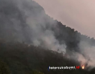Karhutla 3 Hektare Lahan dan Hutan Taman Nasional Gunung Halimun Salak Terbakar