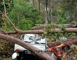 Kecelakaan Maut Pohon Tumbang Timpa Kendaraan di Ruas Jalan Cikidang Palabuhanratu