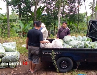 Penyebab Lonjakan Harga Sayuran di Sukabumi